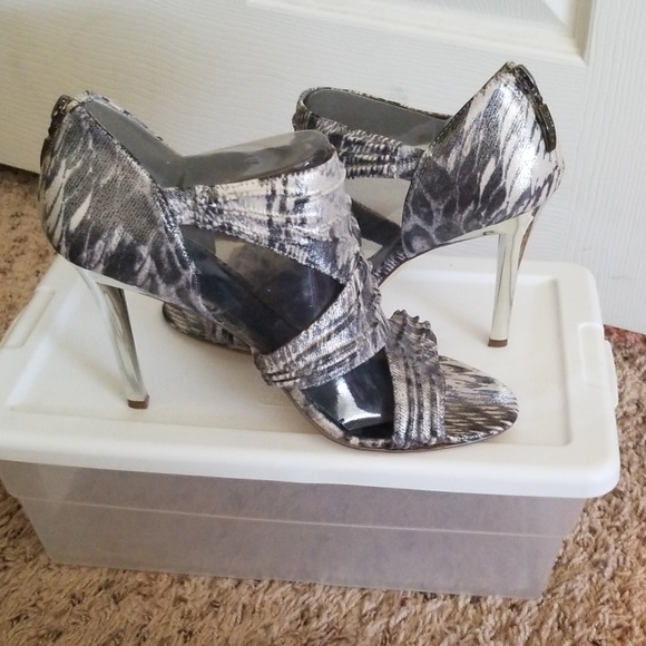 Leopard - Picture 4 of 4